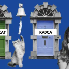 Kot sięga do dzwonka przy drzwiach z napisem "Adwokat", obok drzwi z napisem "Radca" i zamyślona dziewczyna.